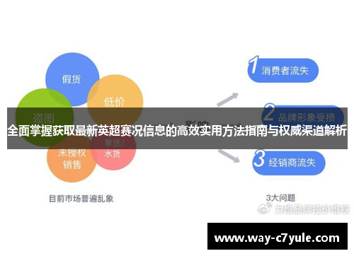 全面掌握获取最新英超赛况信息的高效实用方法指南与权威渠道解析 全面掌握获取最新英超赛况信息的高效实用方法指南与权威渠道解析