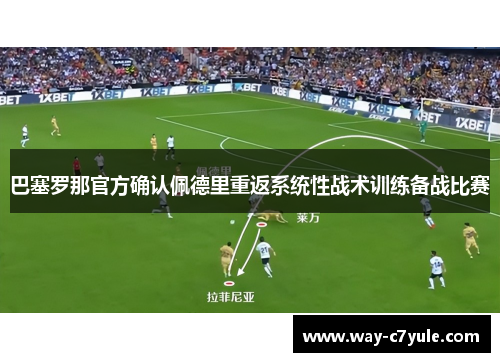 巴塞罗那官方确认佩德里重返系统性战术训练备战比赛 巴塞罗那官方确认佩德里重返系统性战术训练备战比赛